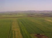 Türkiye’nin Tarım Alanları Kararıyor