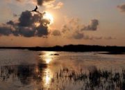Kızılırmak Deltası UNESCO Listesinde