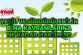 Yeşil ve Sürdürülebilir Binaları Ne Kadar Biliyorsun?