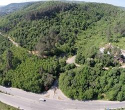 İşte Beykoz’da İmara Açılacak Orman Arazisi