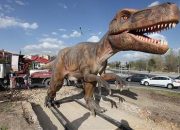 Ankara’da Dinozora İkinci İhale