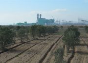 Türkiye 4 Milyon Hektar Tarım Alanını Kaybetti