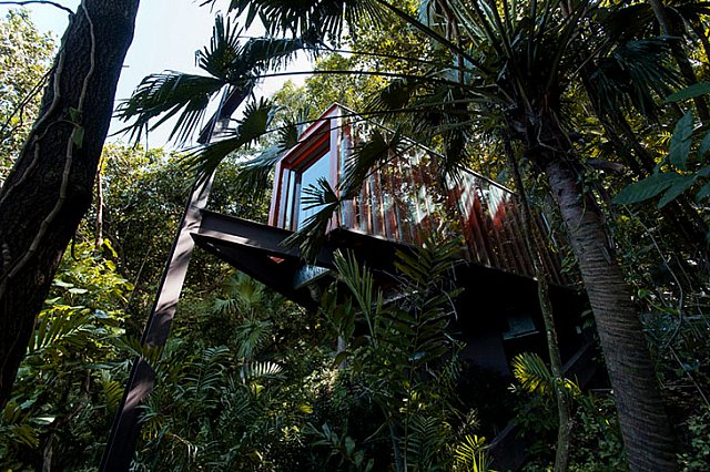 Tropikal Ormanda Bir Tapınak